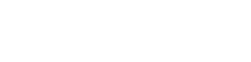 Roll With The Punches